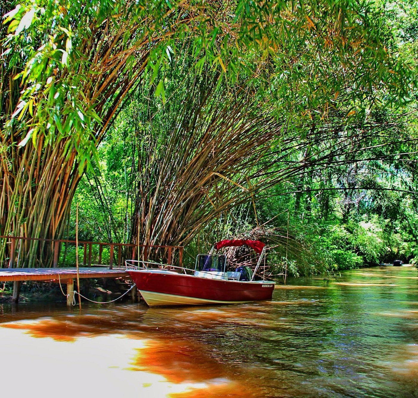 Tigre, Argentina