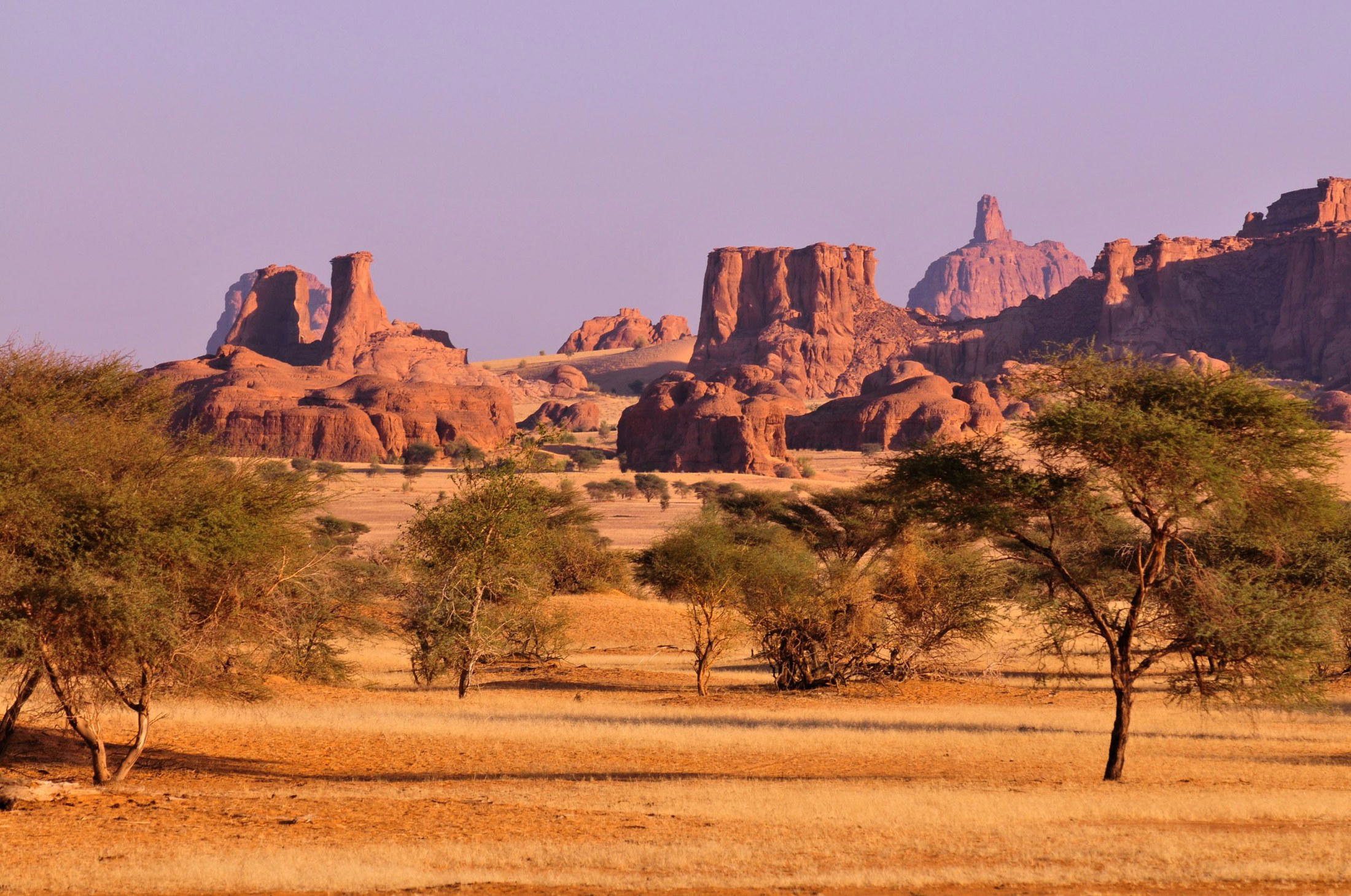 Chad luxury dining and travel destination