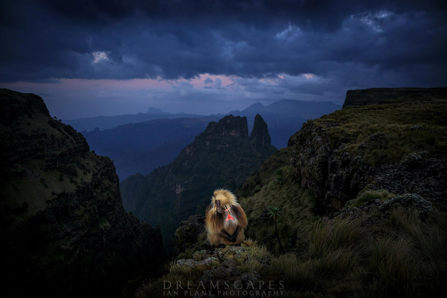 Ethiopia luxury dining and travel destination