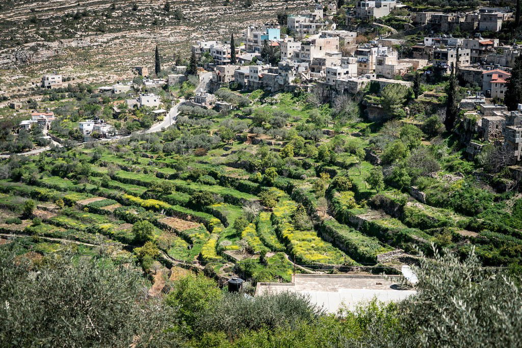 Palestine luxury dining and travel destination
