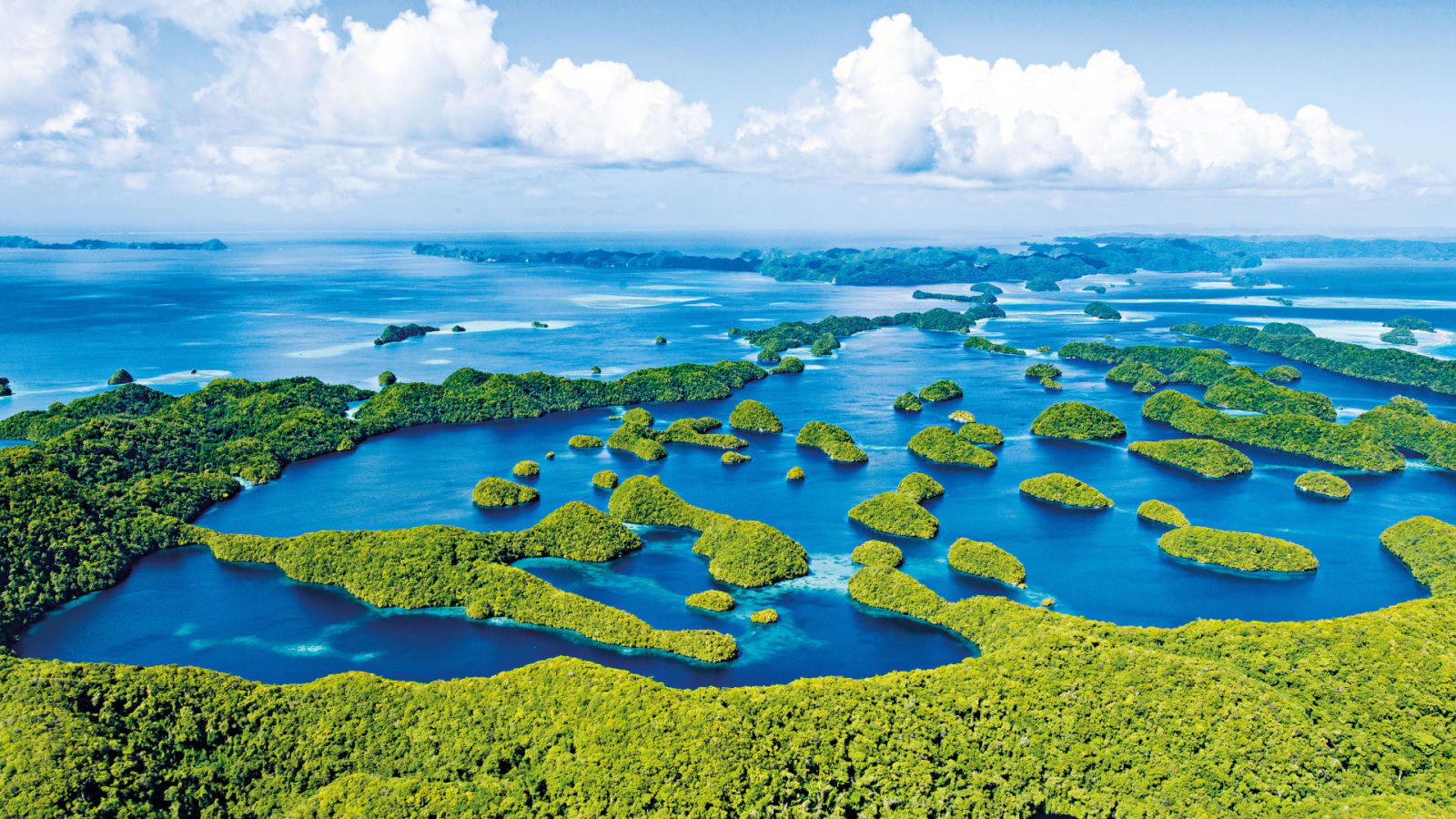 Palau luxury dining and travel destination