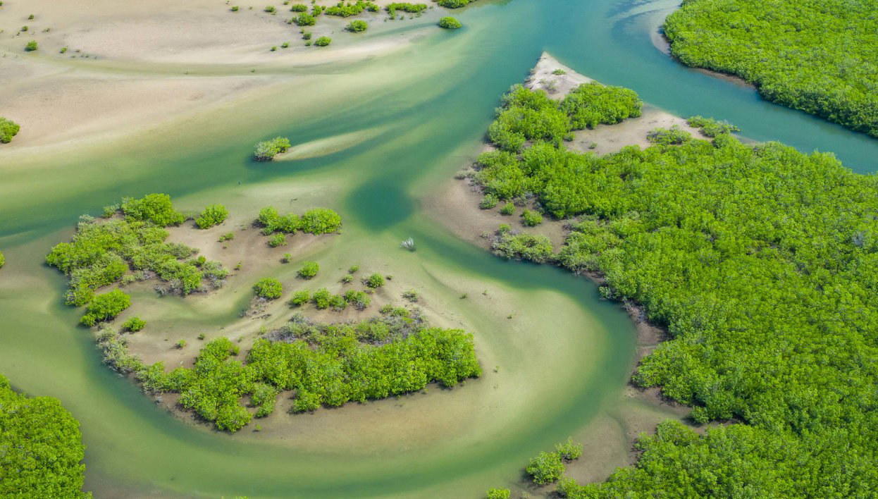 The Gambia luxury dining and travel destination