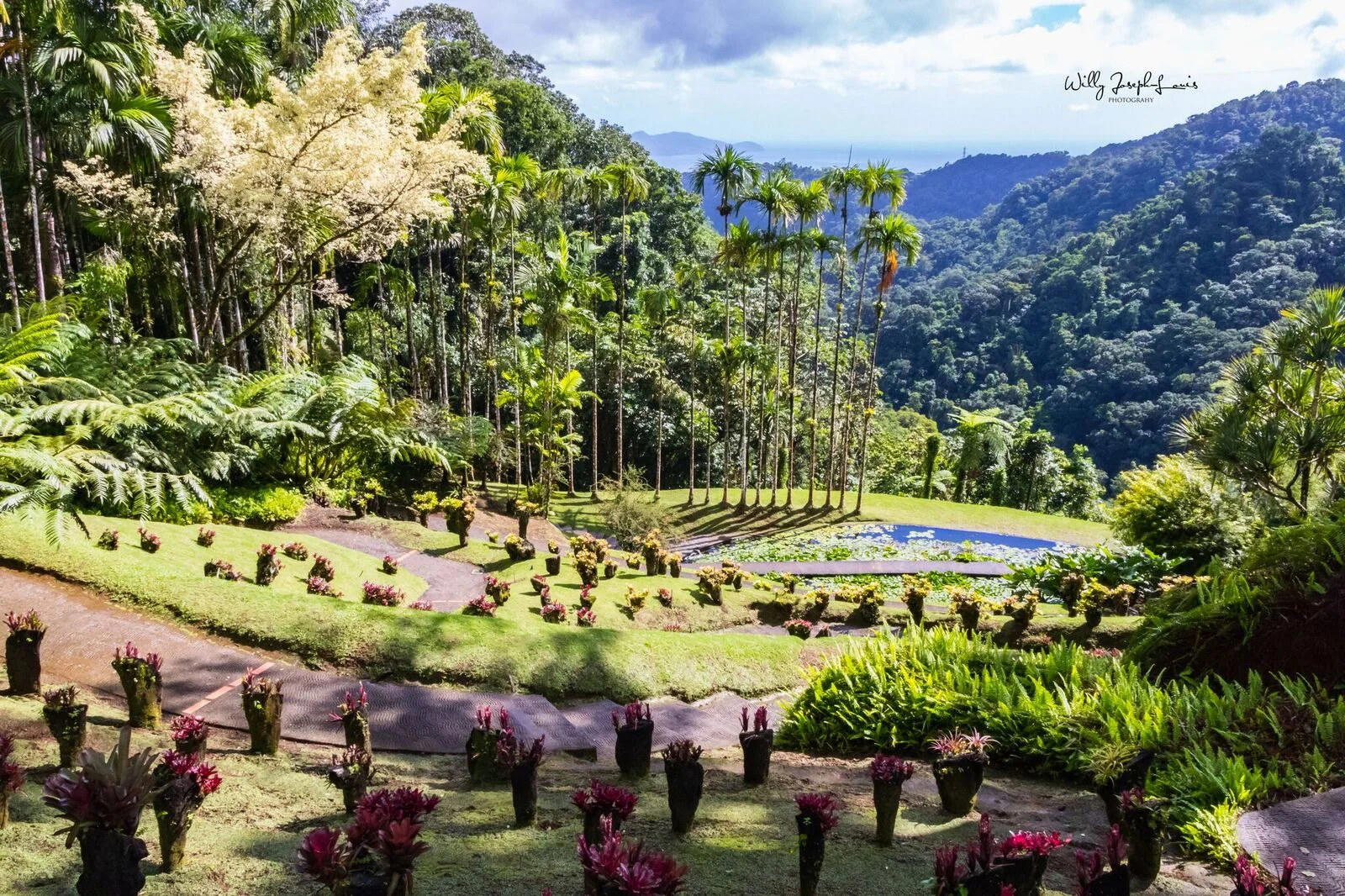 Martinique luxury dining and travel destination