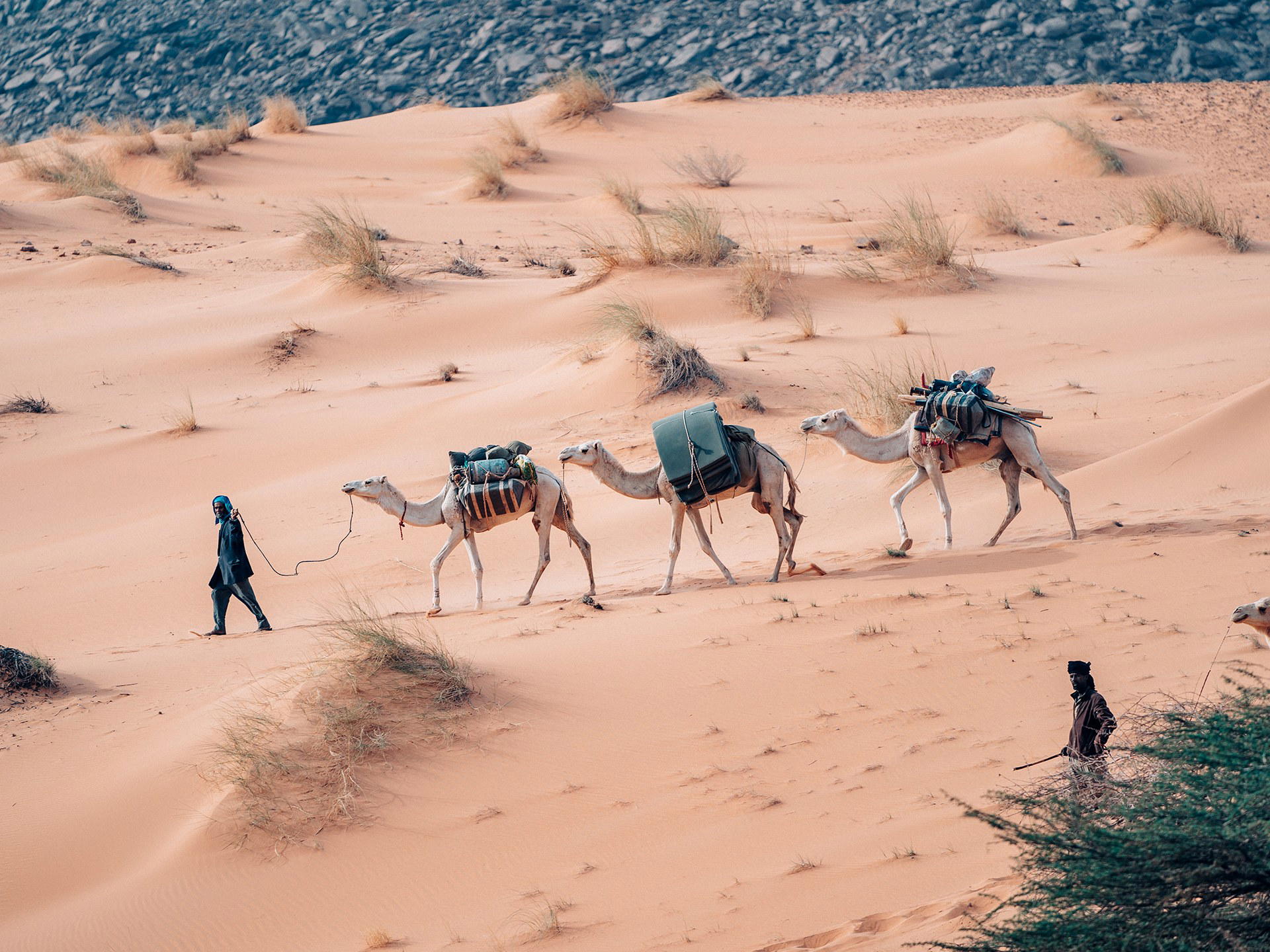 Mauritania luxury dining and travel destination