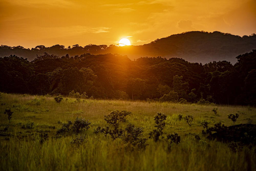 Gabon luxury dining and travel destination