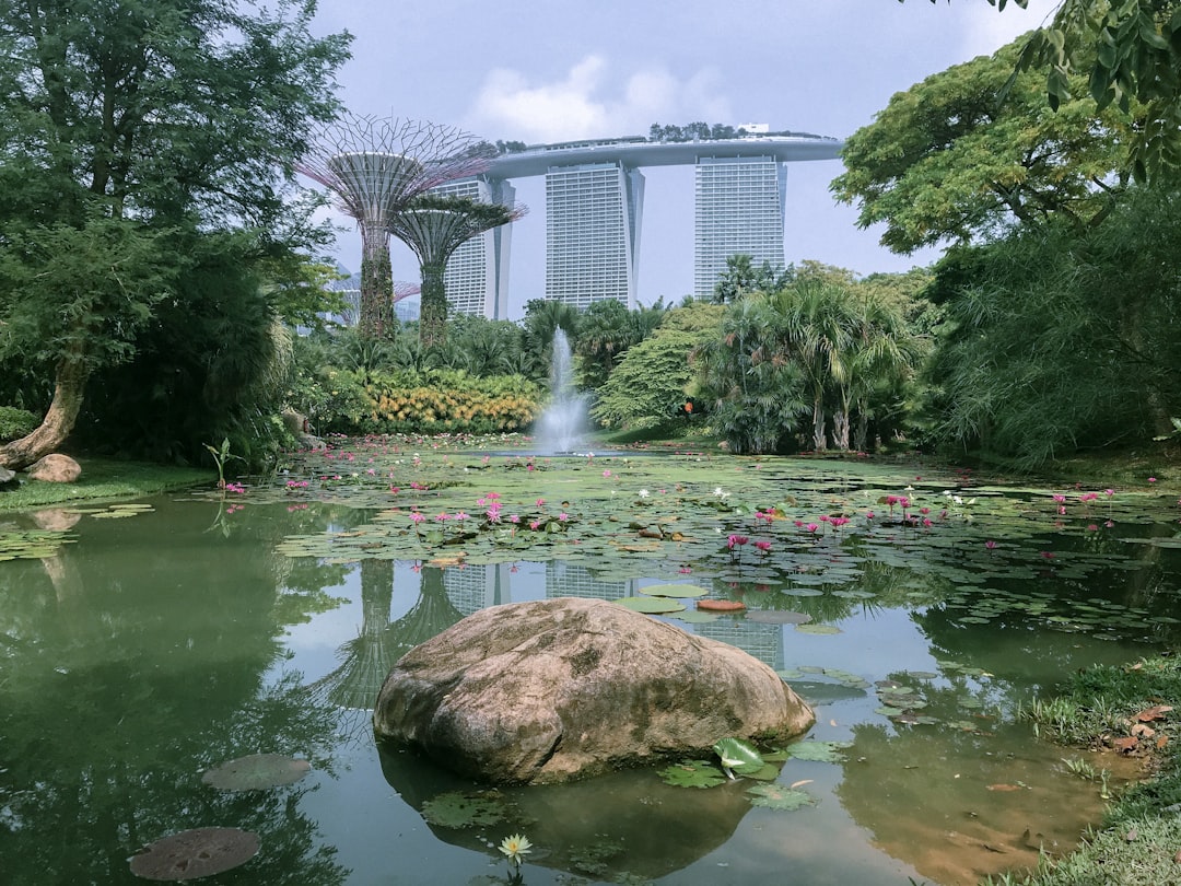Singapore luxury dining and travel destination