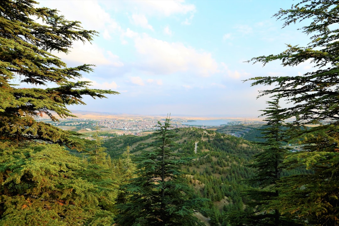 Lebanon luxury dining and travel destination