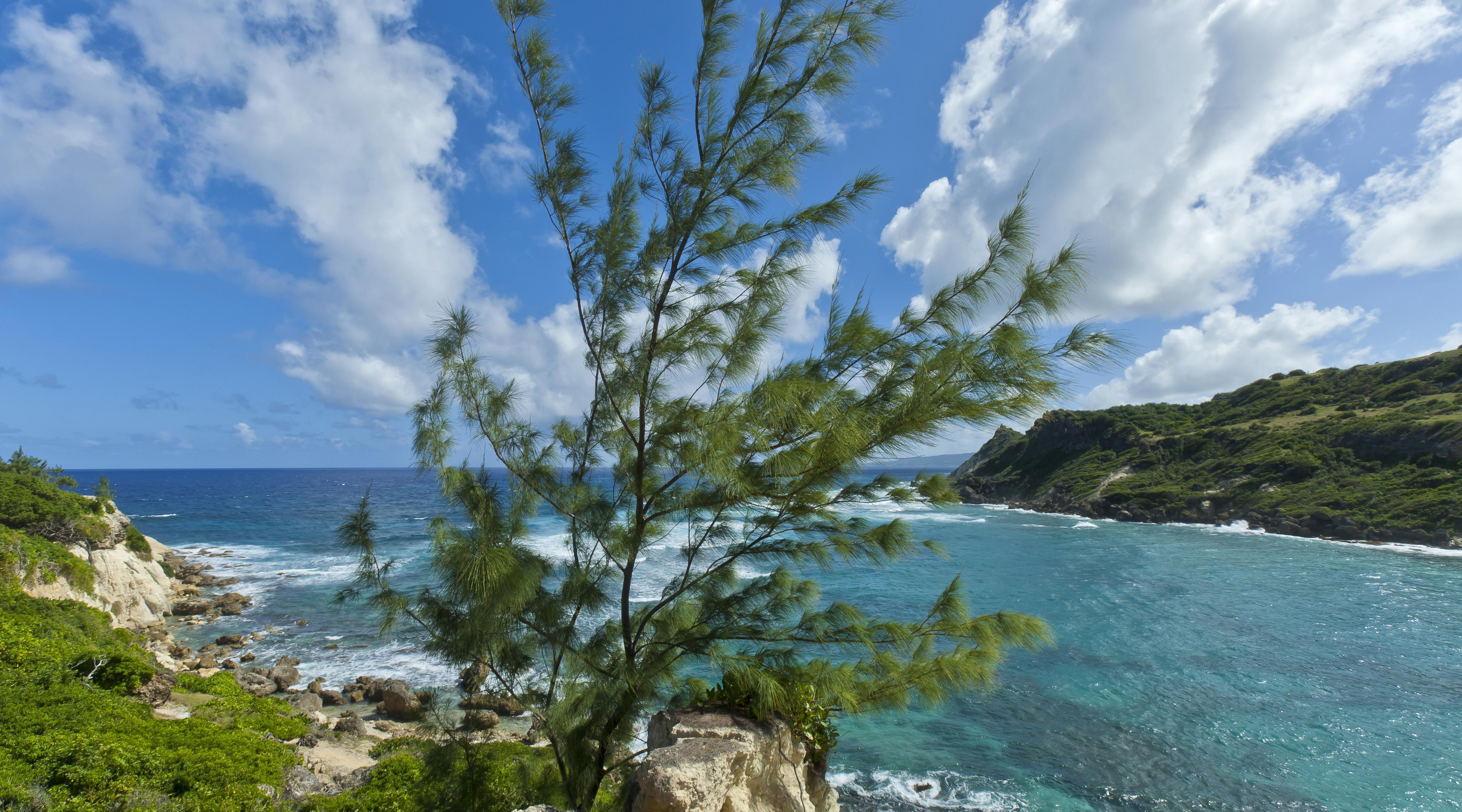 Barbados luxury dining and travel destination