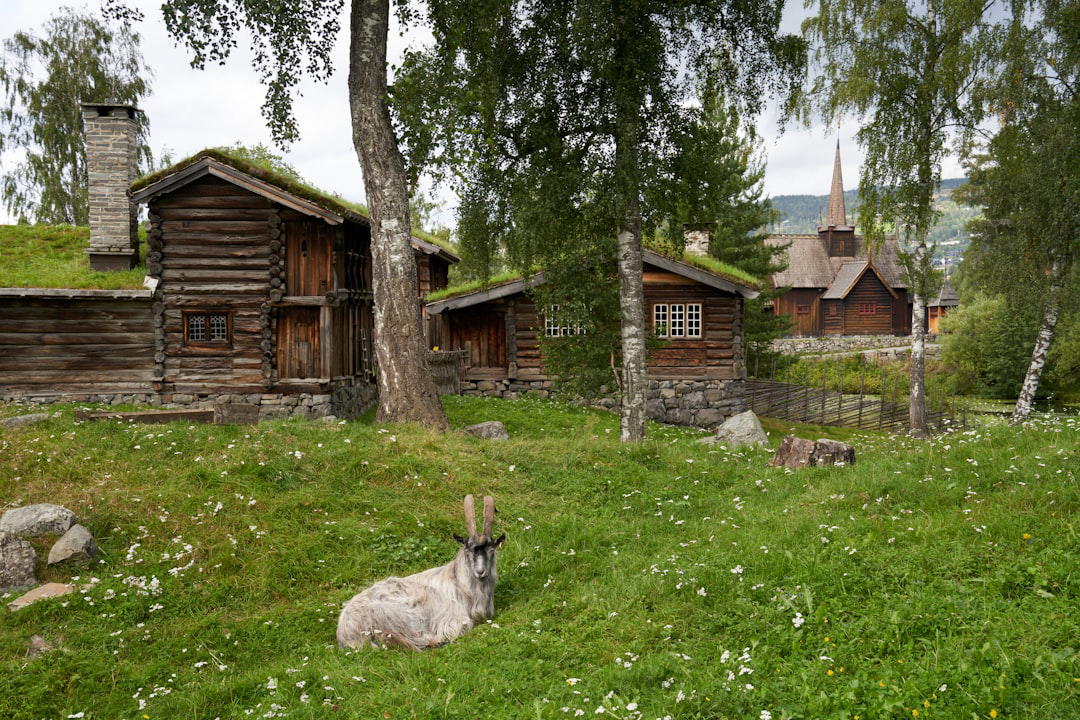Norway luxury dining and travel destination