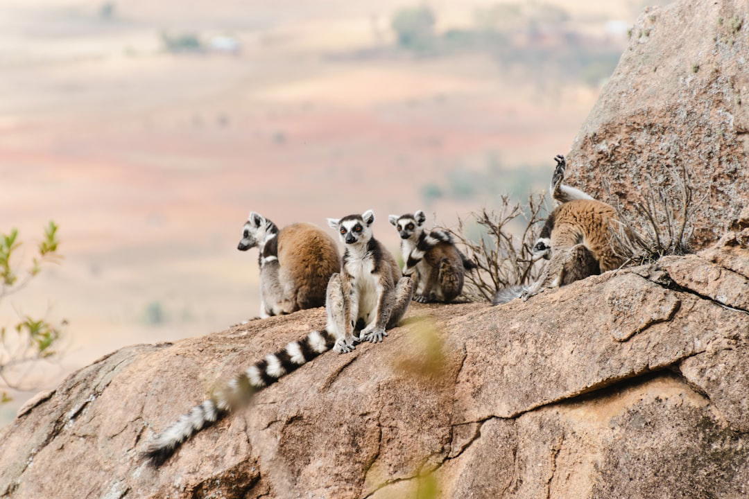 Madagascar luxury dining and travel destination