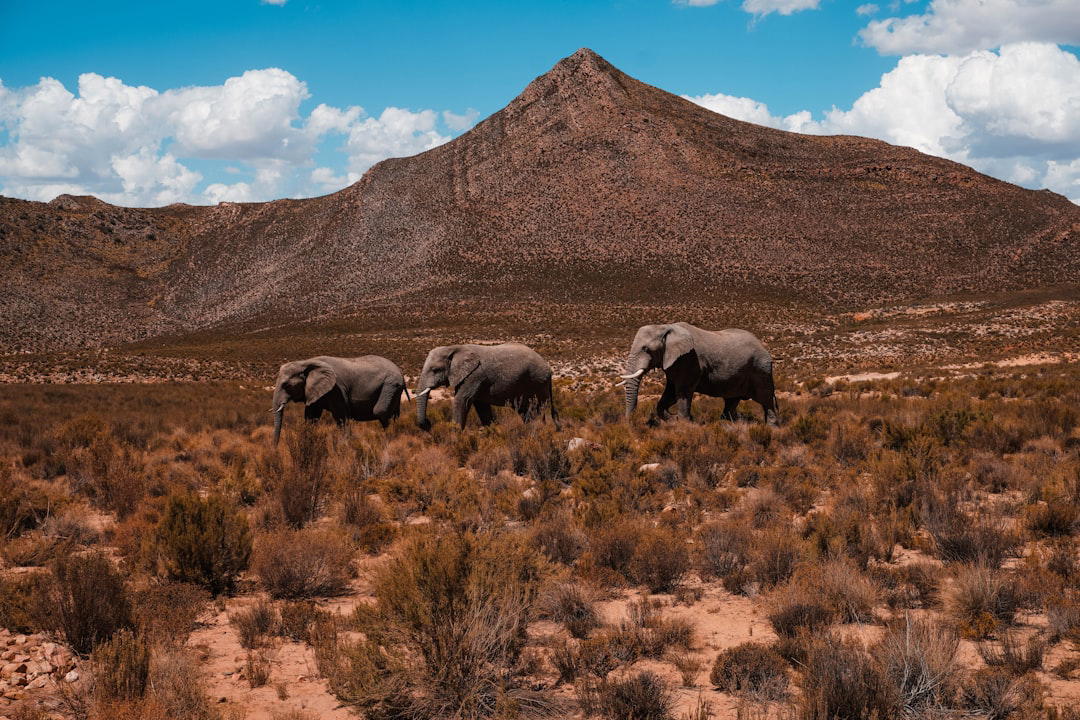 Namibia luxury dining and travel destination