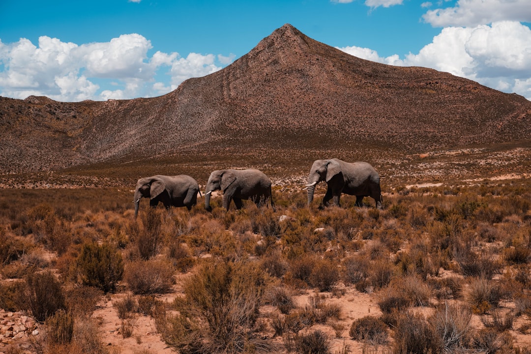 Namibia luxury dining and travel destination