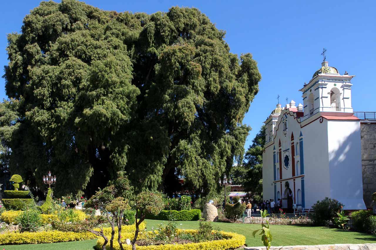 Mexico City Area travel destination