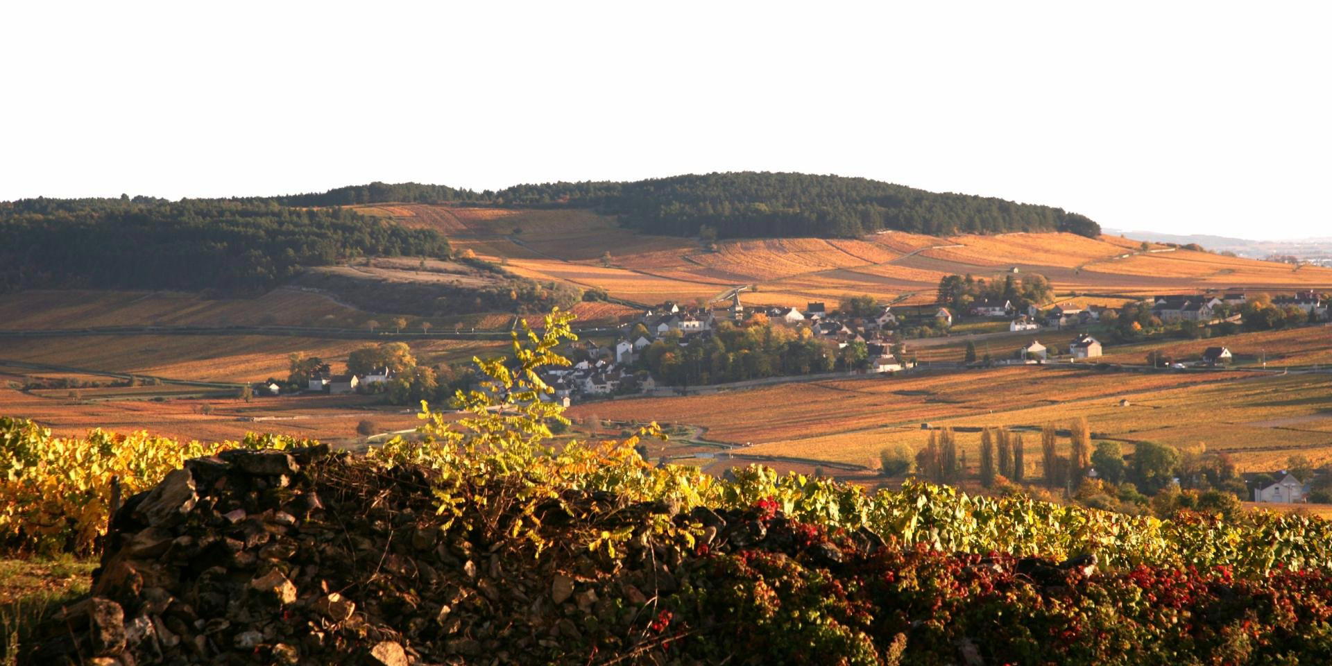 Burgundy travel destination