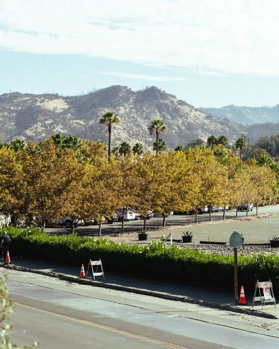 Napa & Sonoma Wine Country travel destination