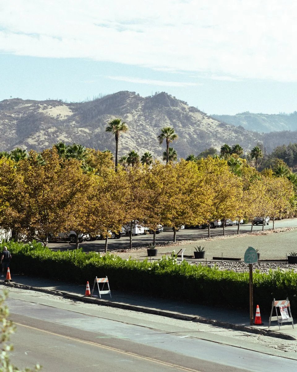 Napa & Sonoma Wine Country