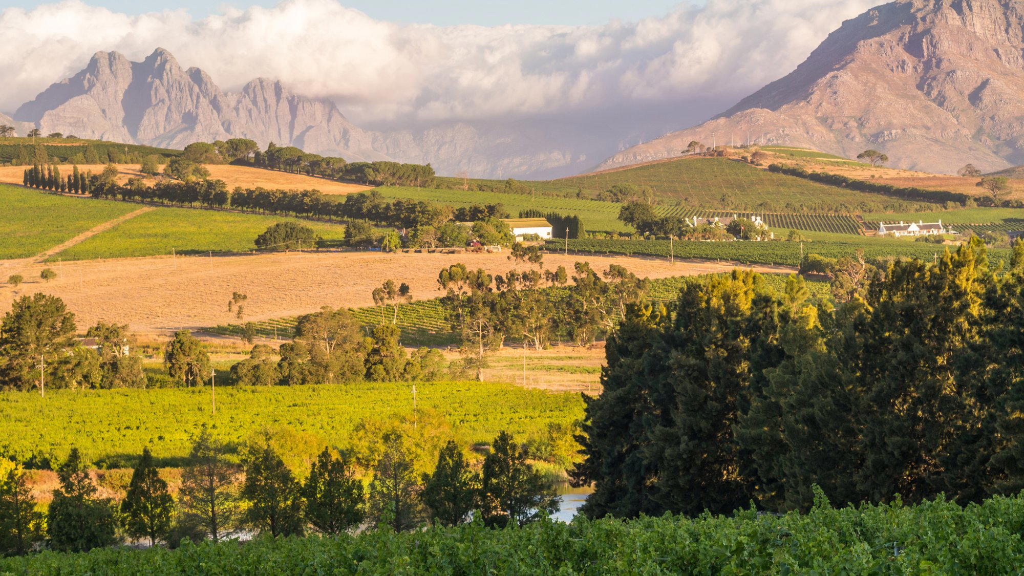 Cape Winelands travel destination