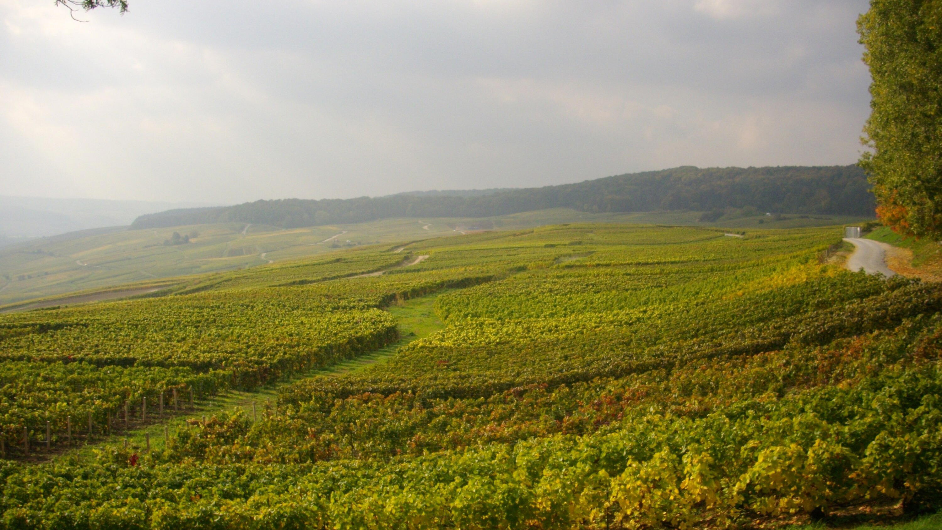 Champagne travel destination