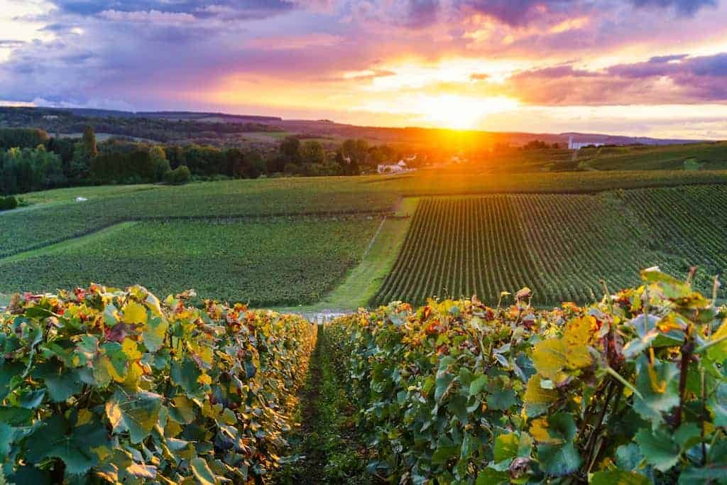 Champagne travel destination