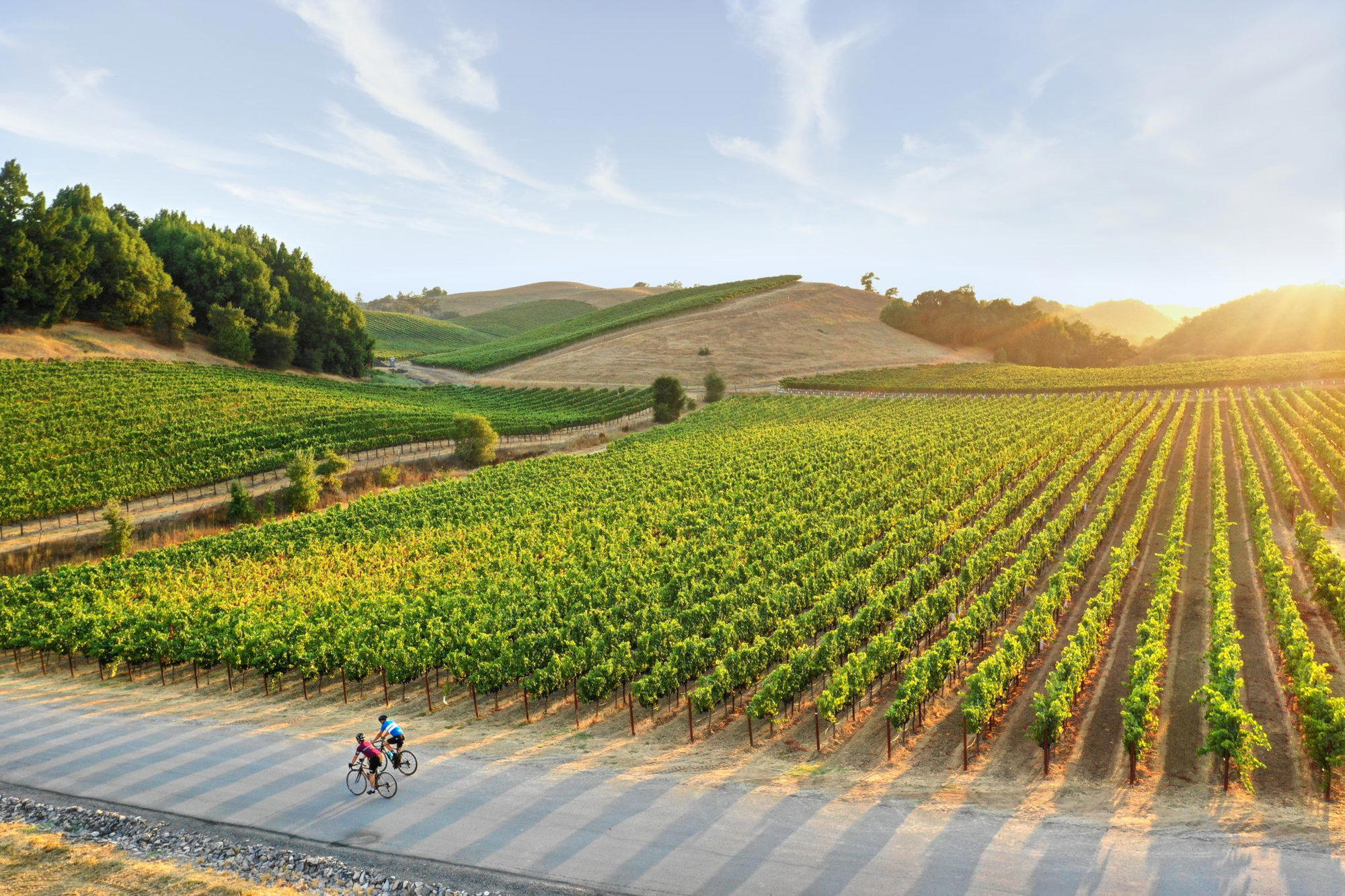 Sonoma County travel destination