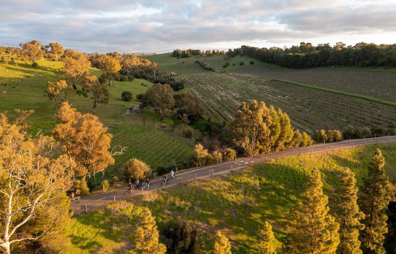 Barossa Valley travel destination