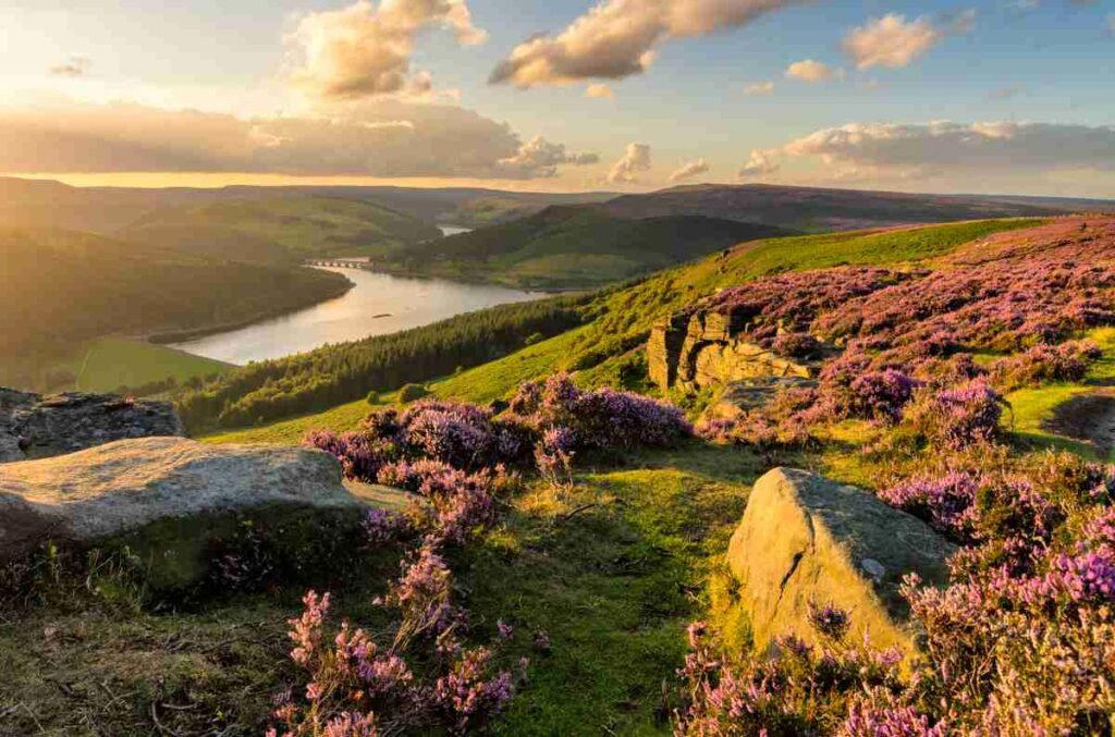 Manchester Area travel destination