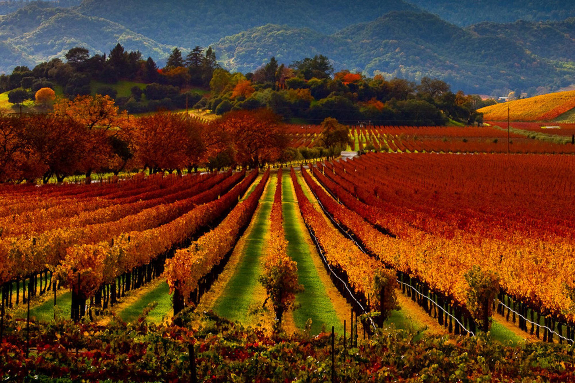 Napa Valley travel destination