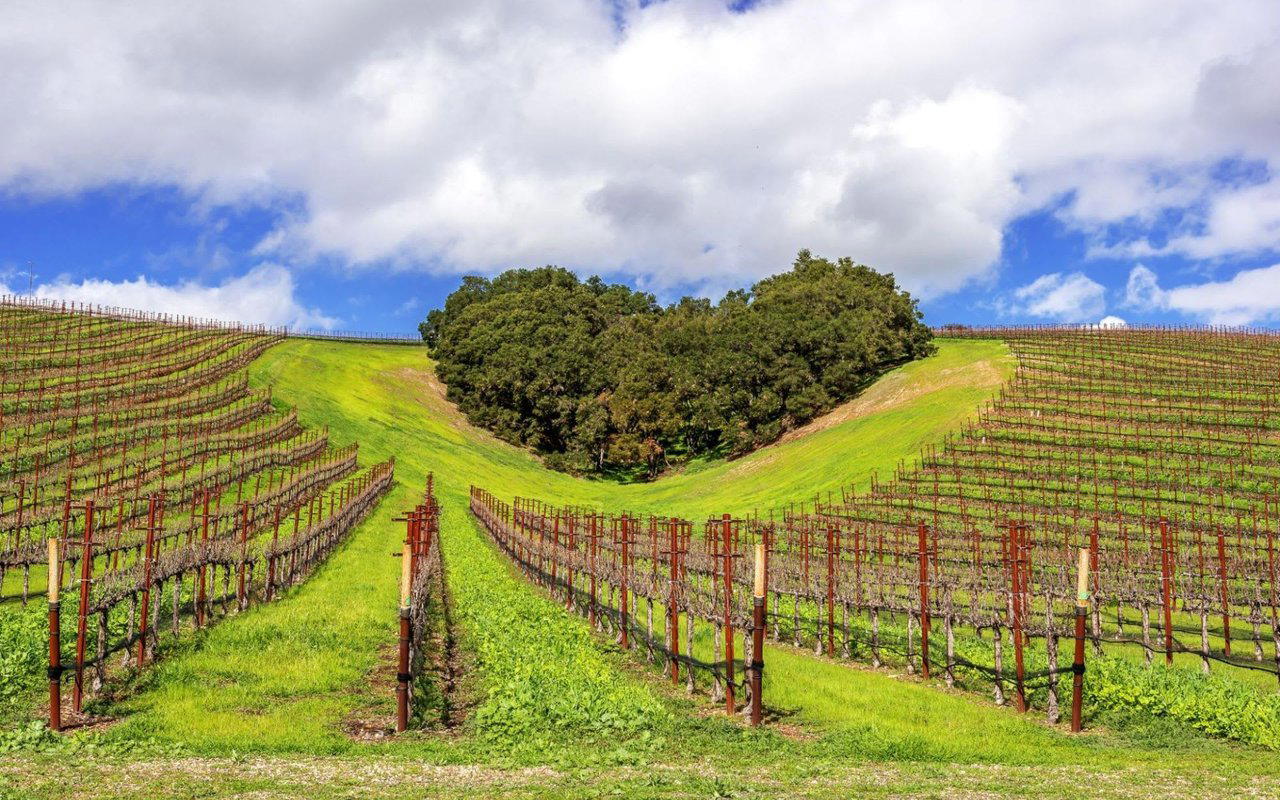 Paso Robles & Central Coast travel destination