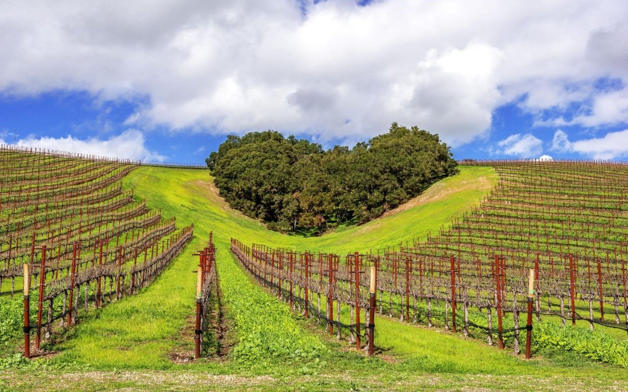 Paso Robles & Central Coast travel destination