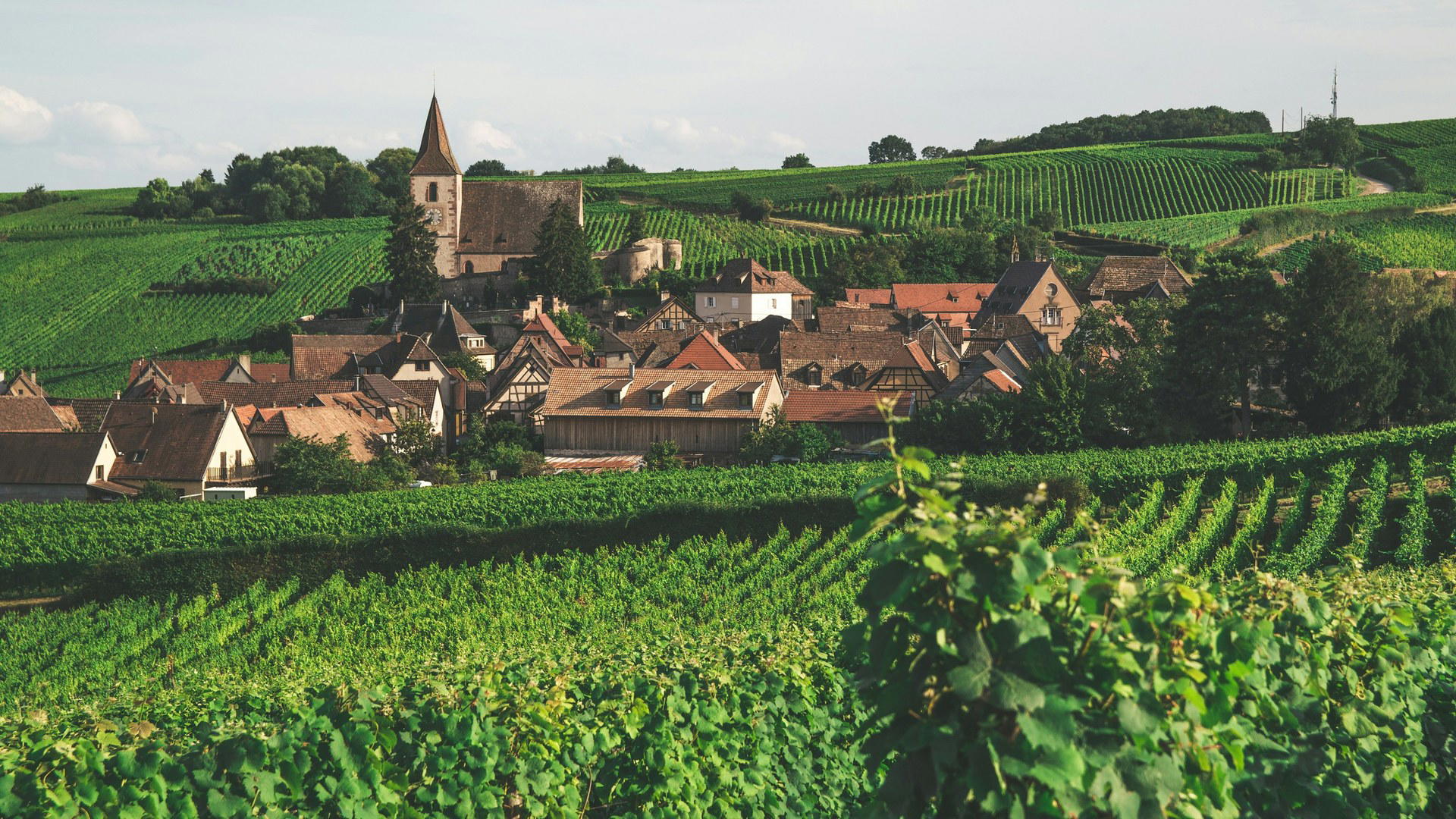 Alsace travel destination