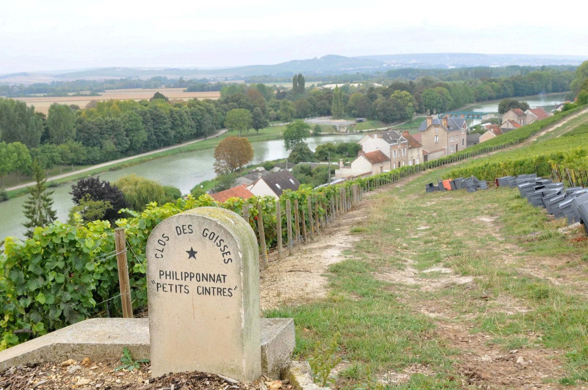 Philipponnat Clos des Goisses Dinner