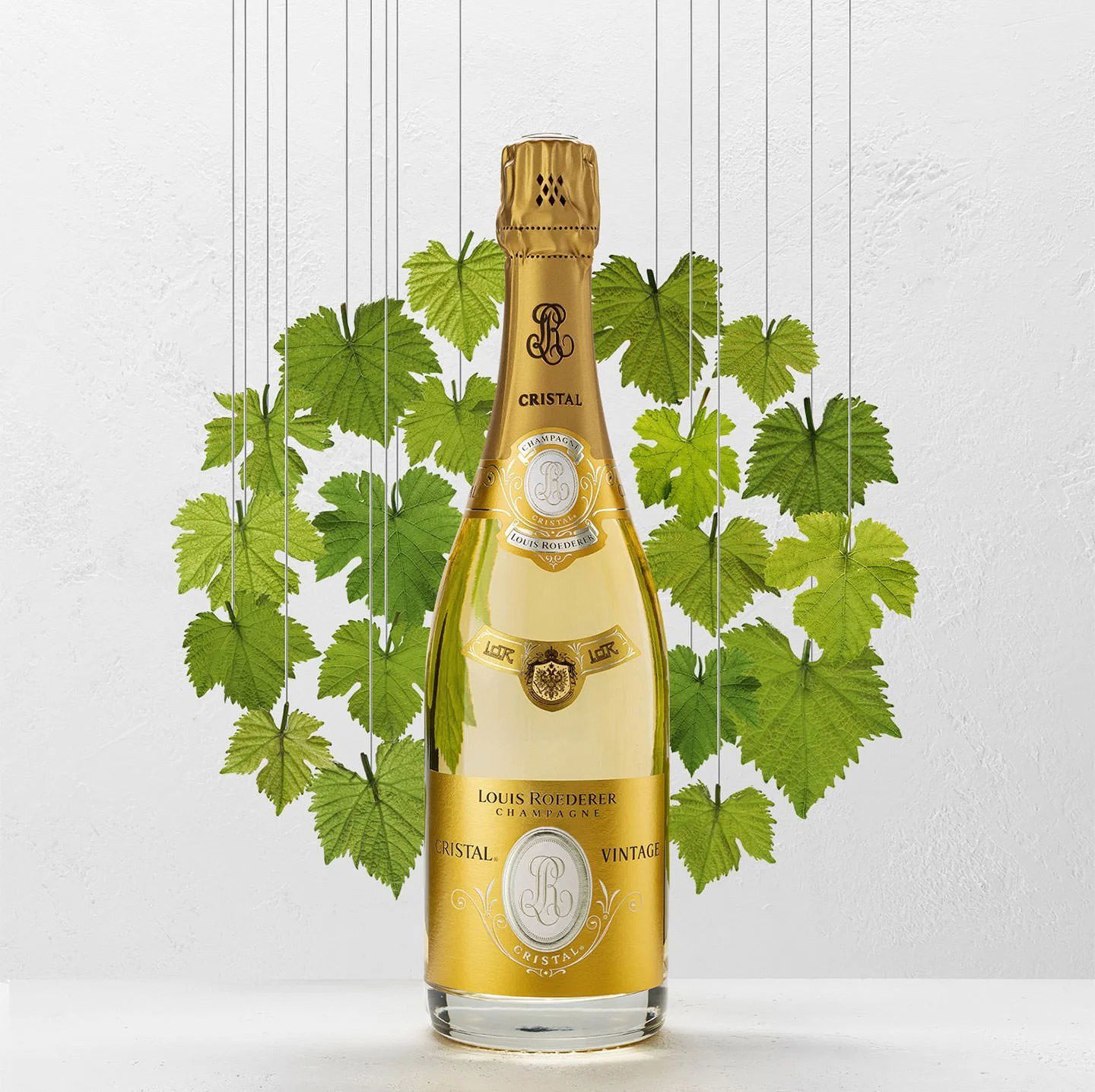 Journey to the North with Louis Roederer