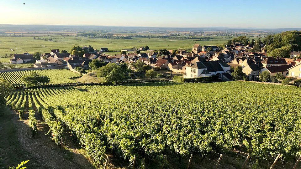 Domaine Marquis d'Angerville Dinner