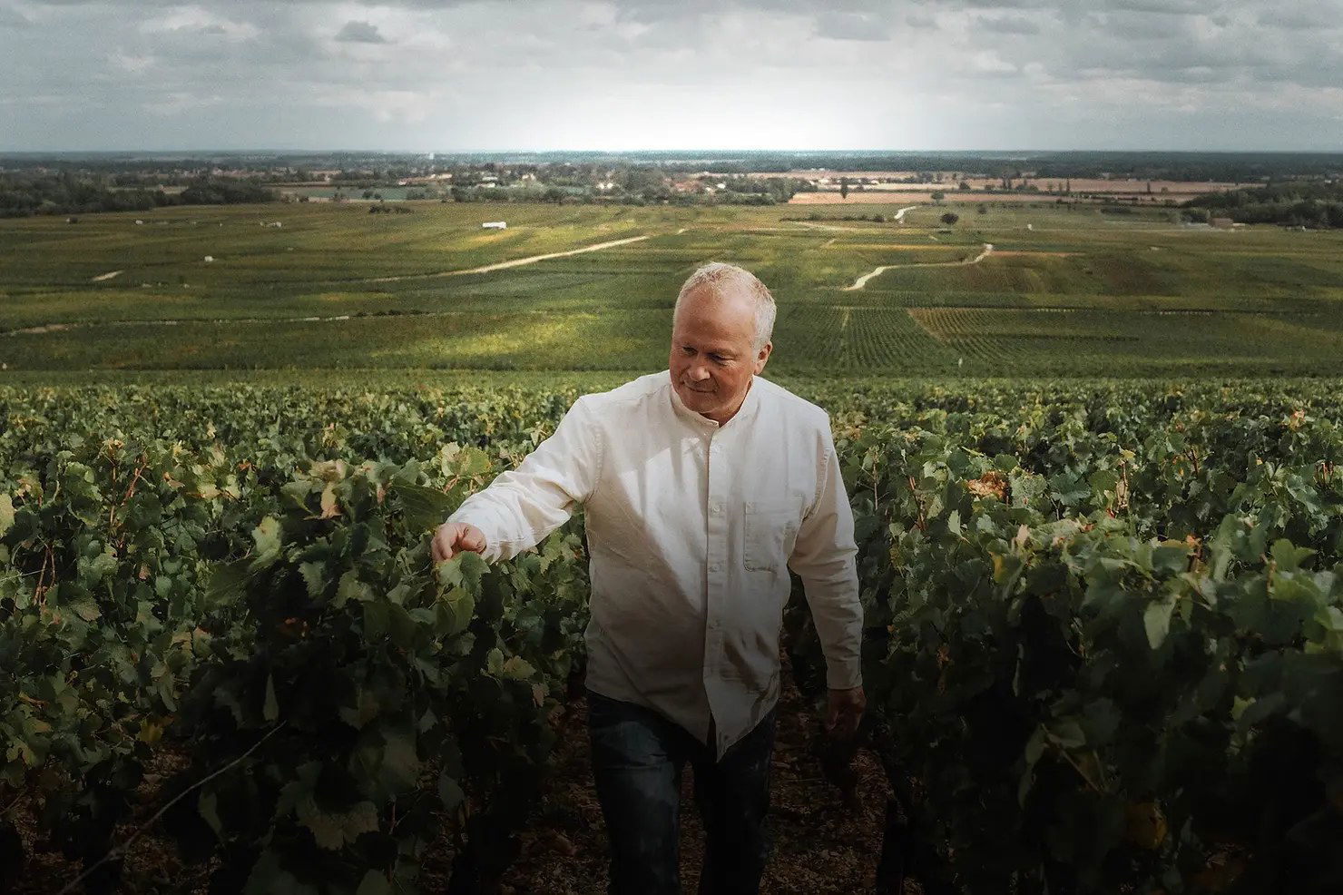 Domaine de Montille Dinner