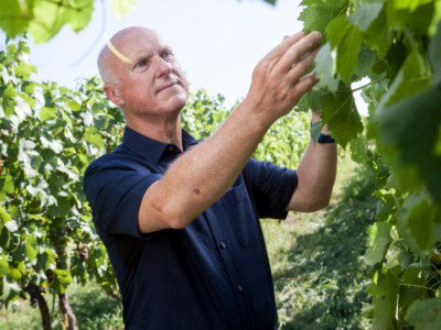 How English fizz made its way onto wine’s top table