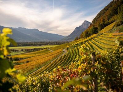 The Pinot Noir you didn’t know you were missing