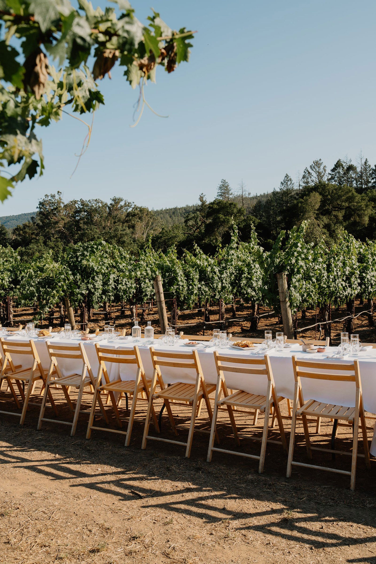 June 27, 2026 | Robert Sinskey Vineyards