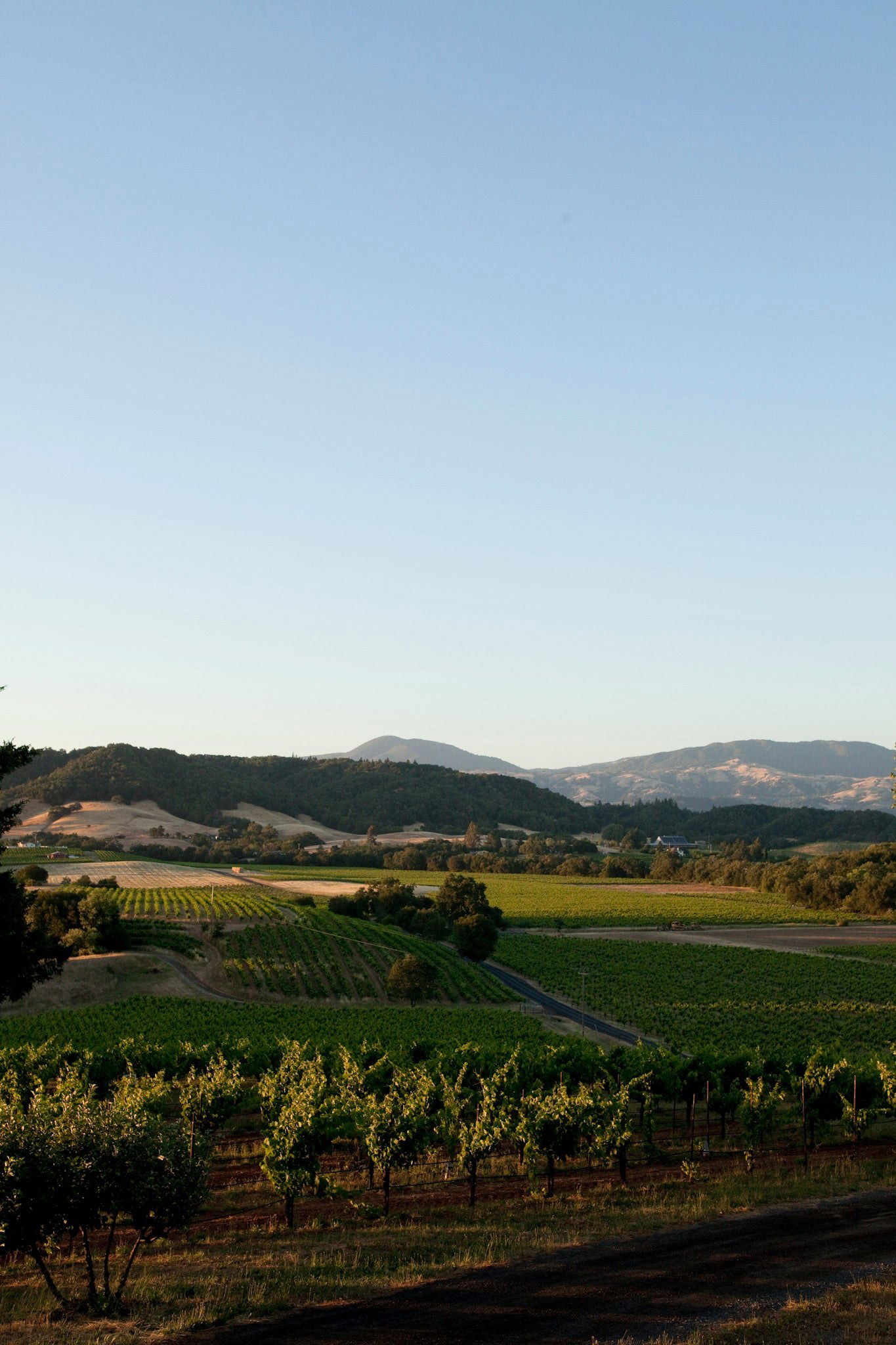 June 28, 2026 | Ridge Vineyards at Lytton Springs