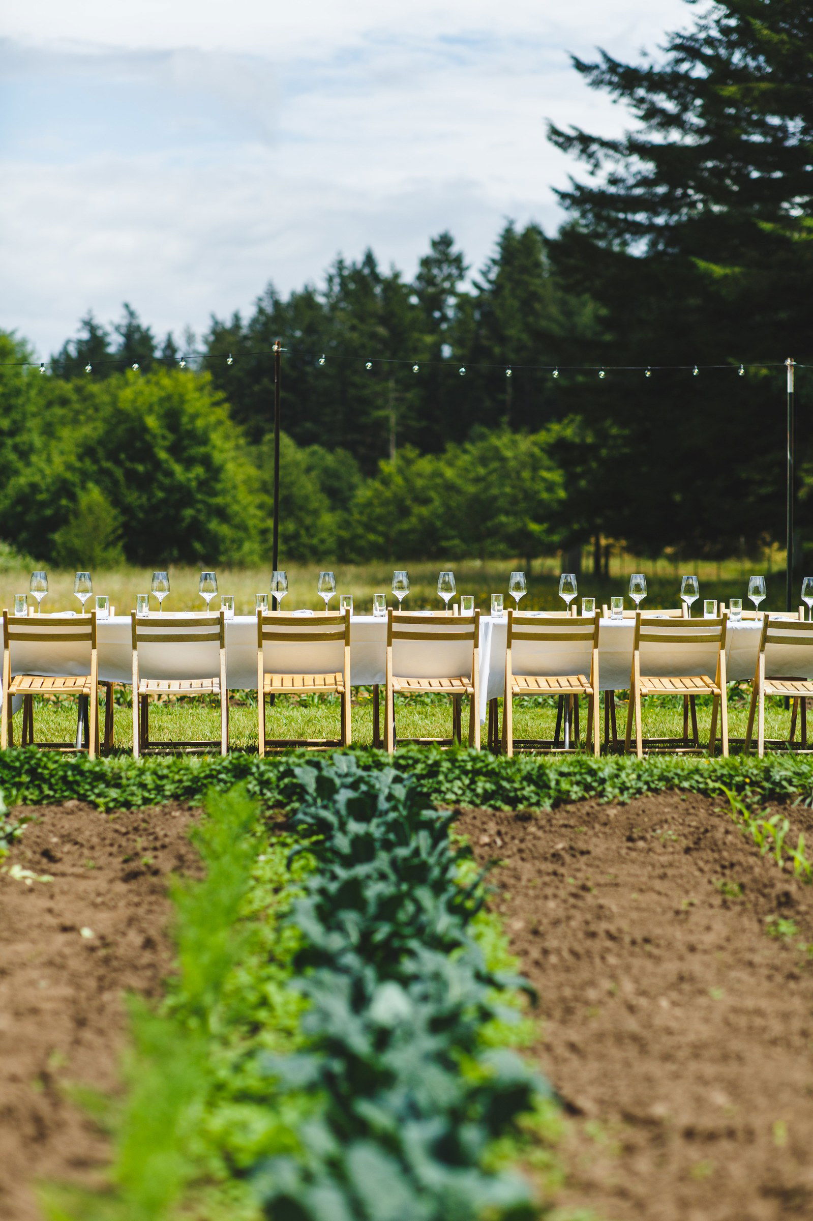 July 07, 2026 | Orcas Farm