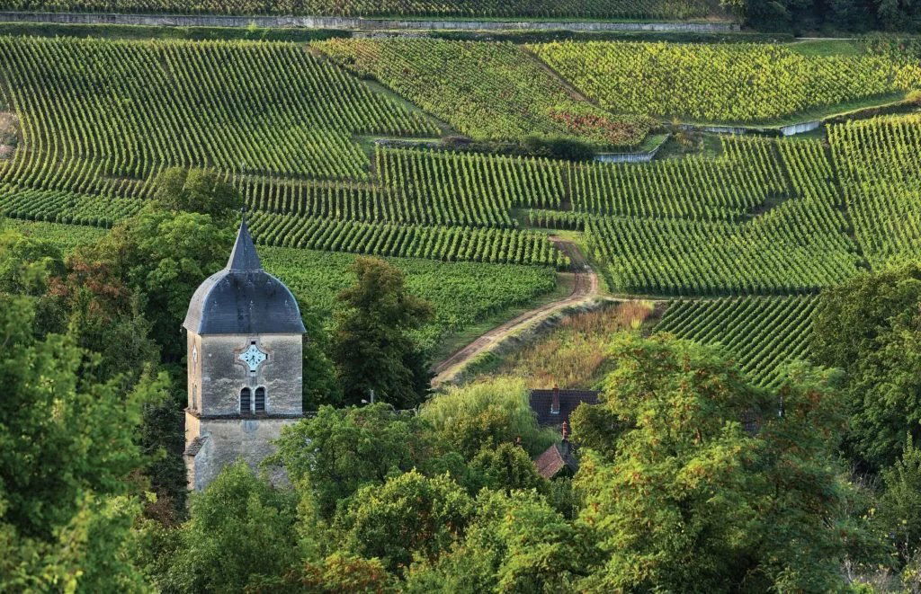 Domaine Georges Roumier Les Amoureuses Dinner