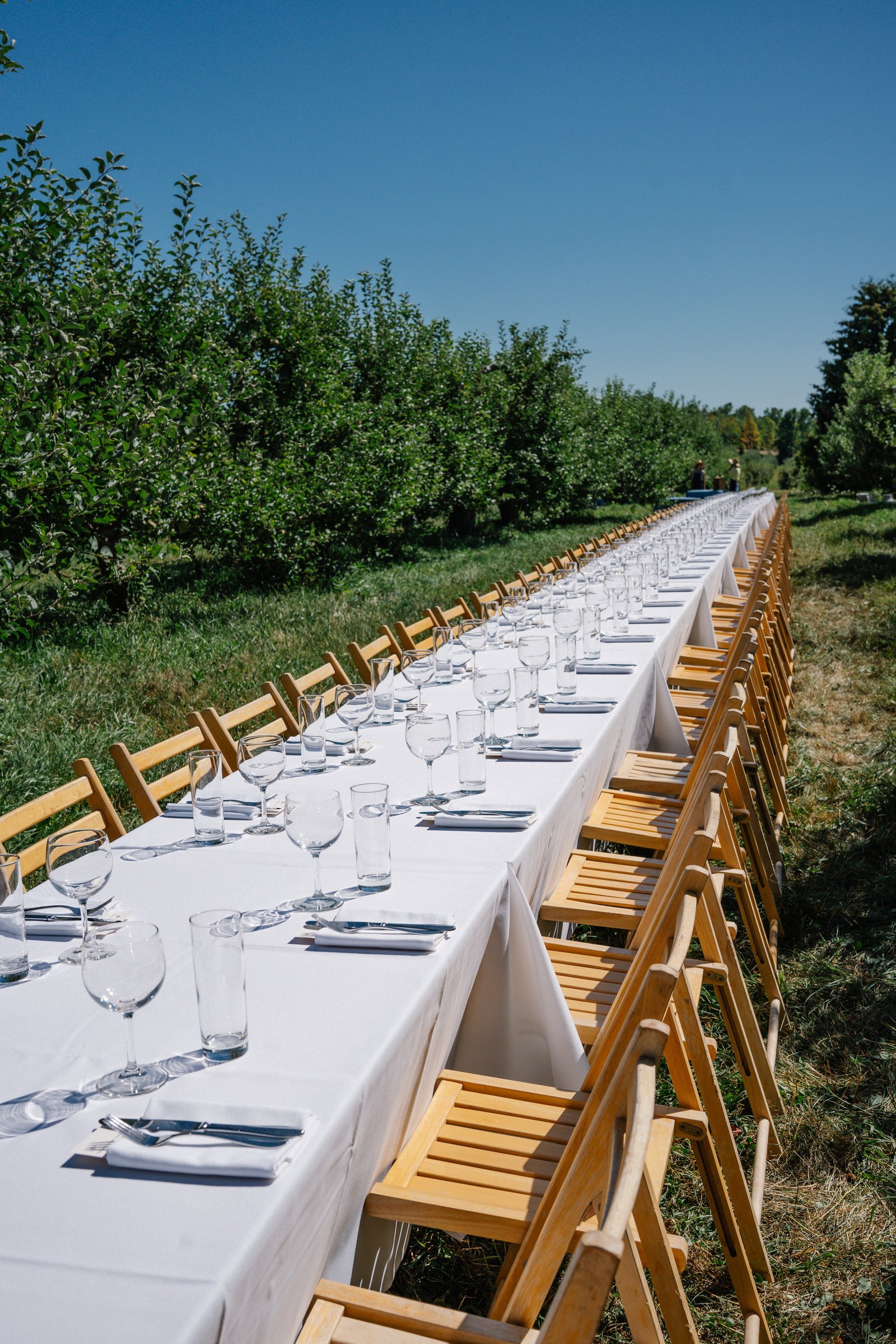 August 01, 2026 | Oriana's Orchard