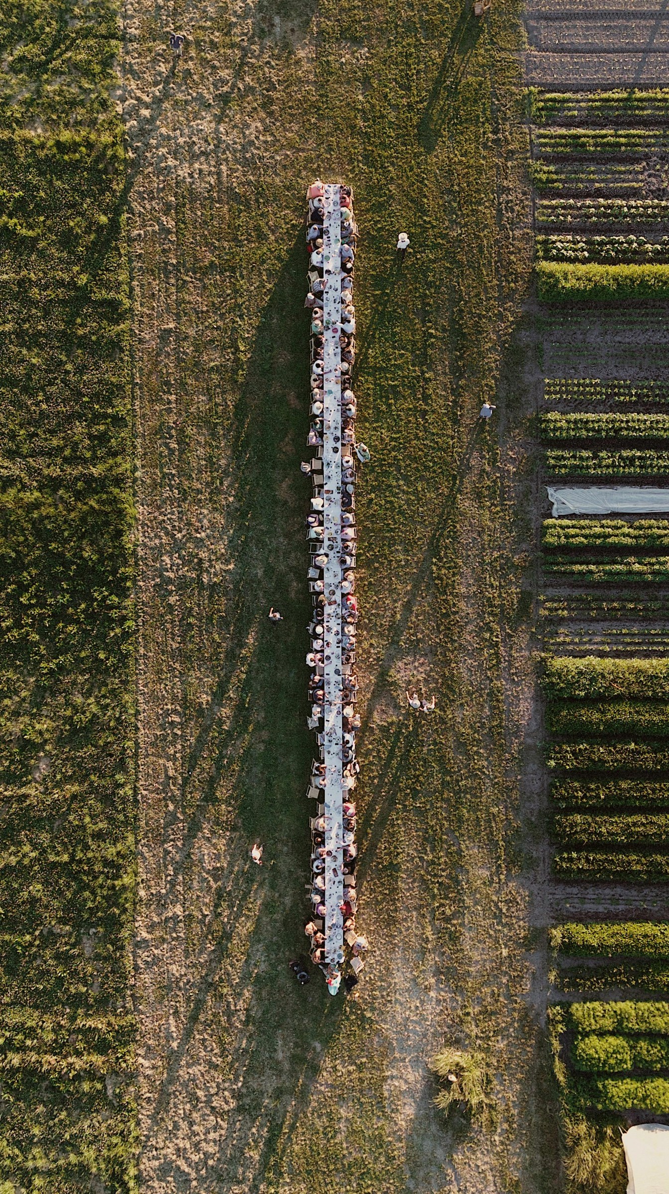 July 14, 2026 | The Ground at Tabula Rasa