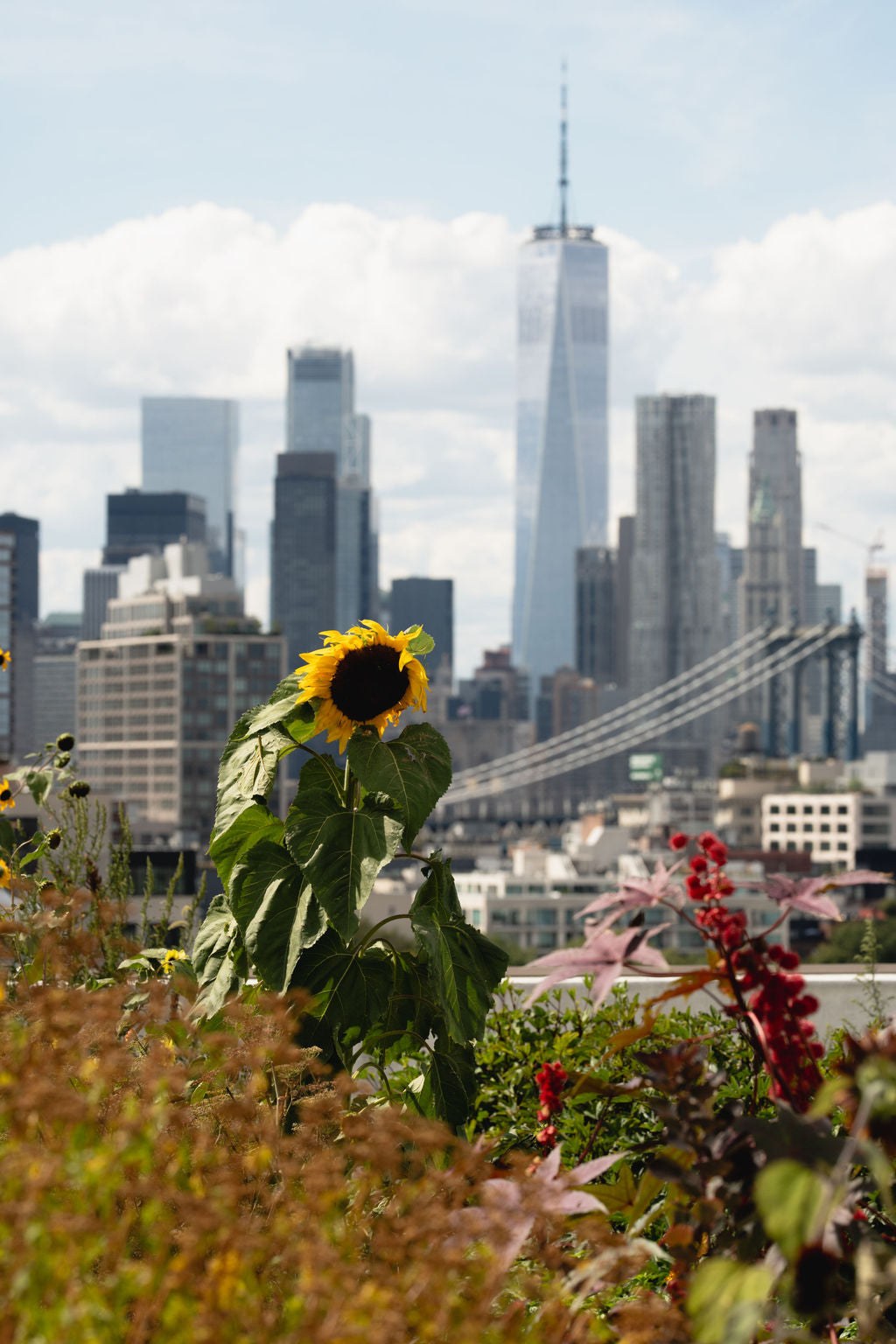 September 02, 2026 | Brooklyn Grange at the Navy Yard
