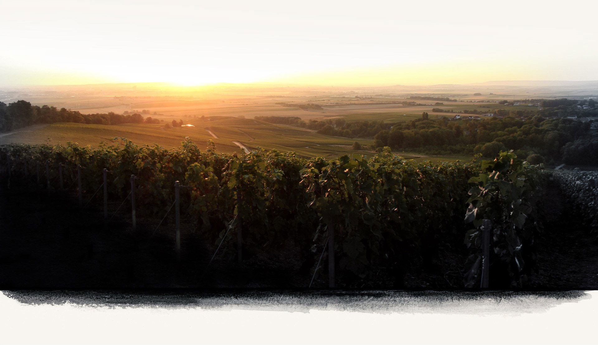 Champagne Roger Coulon, Winery in Reims