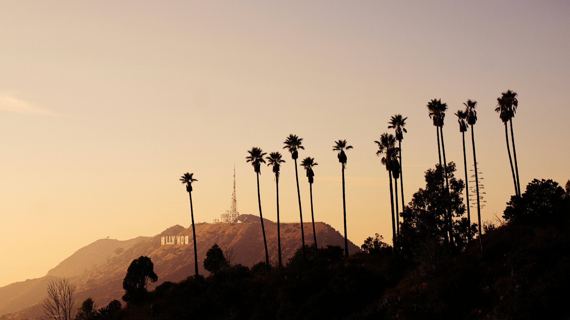 Vin et Hip Hop Los Angeles