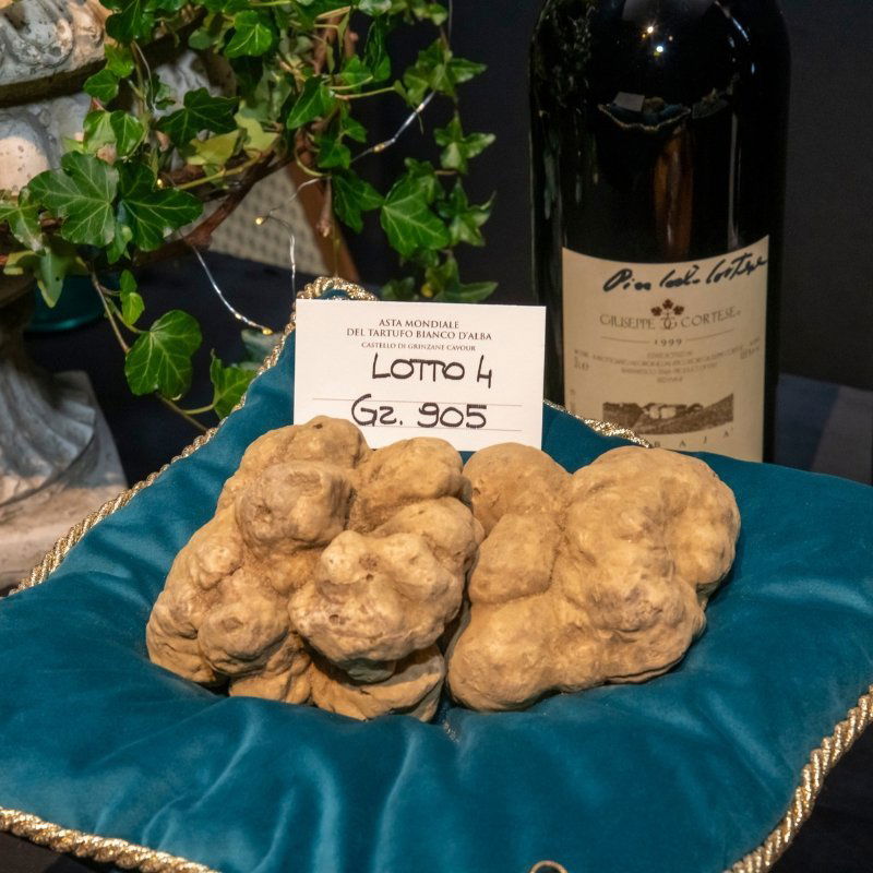 World Alba White Truffle Auction in Grinzane Cavour