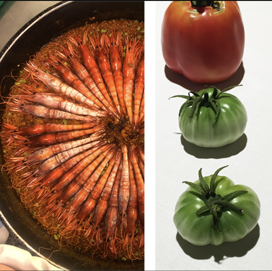 The Hungry Tourist — Kyoto & Tokyo Super Tour (II)