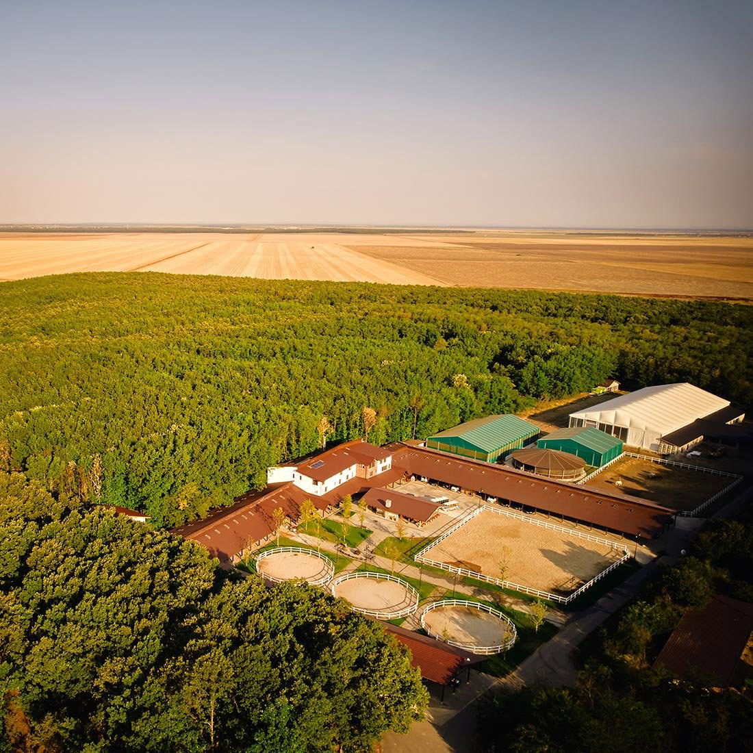 Singureni Manor Equestrian Retreat, Hotel in Bucharest