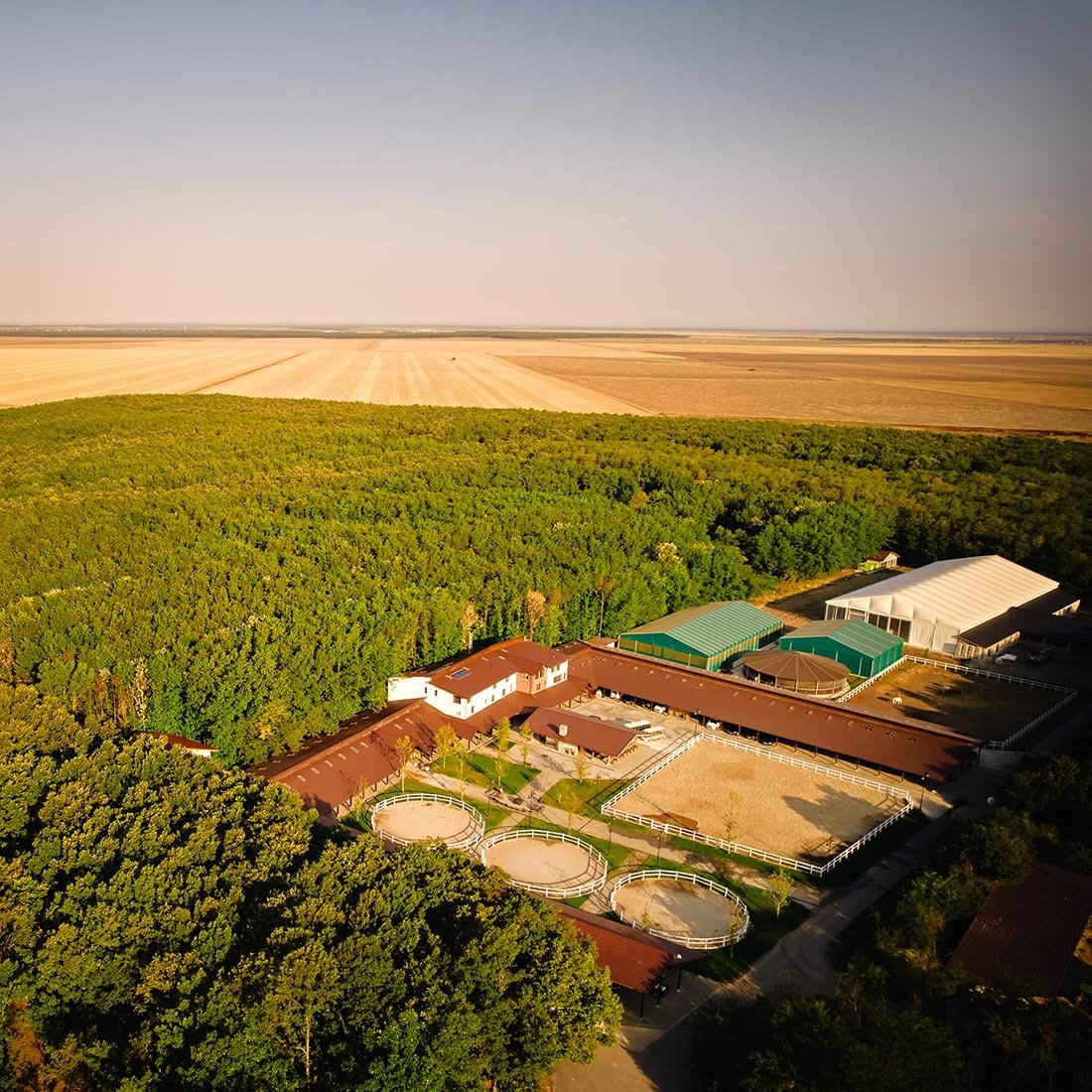 Singureni Manor Equestrian Retreat, Bucharest, Romania