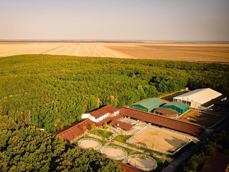 Singureni Manor Equestrian Retreat, Bucharest, Romania